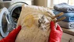 羽毛枕は洗濯機で洗える？家でできる洗い方と乾燥のコツを手順で解説